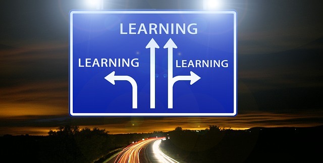 learning your way to success